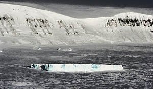 Cientistas afirmam que em 2050 zona ártica será verde