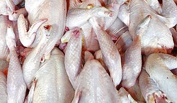 Exportadores de frango do Brasil em alerta devido à gripe aviáriaSeparar