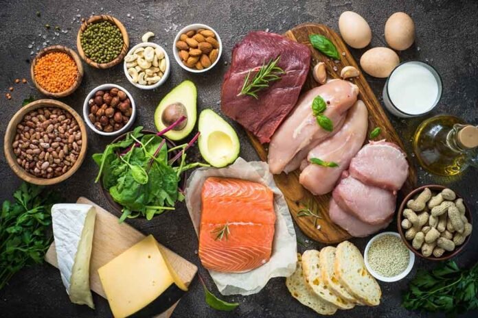 Dieta Carne Proteína Animal Câncer