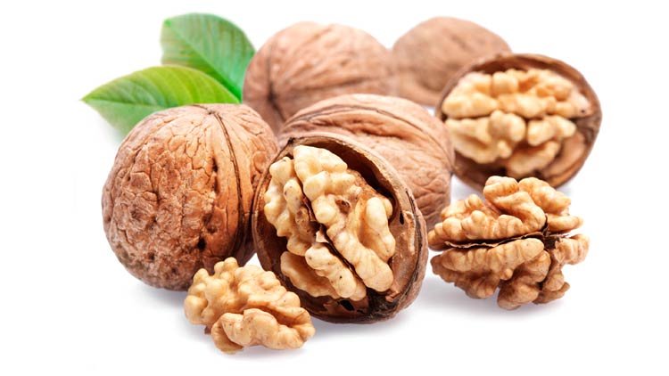 noz previne o câncer, demência, ataques cardíacos e diabetes 