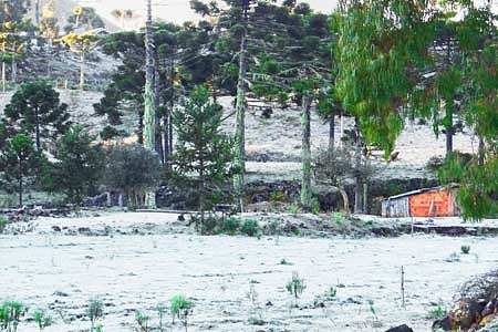 Urupema na Serra Catarinense amanheceu gelada e registra -6.3 C Urupema na Serra Catarinense amanheceu gelada e registra -6.3 C