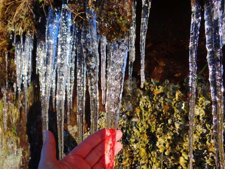 Urupema na Serra Catarinense amanheceu gelada e registra -6.3 C Urupema na Serra Catarinense amanheceu gelada e registra -6.3 C